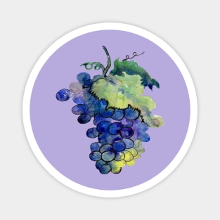 grapes growing for wine Magnet